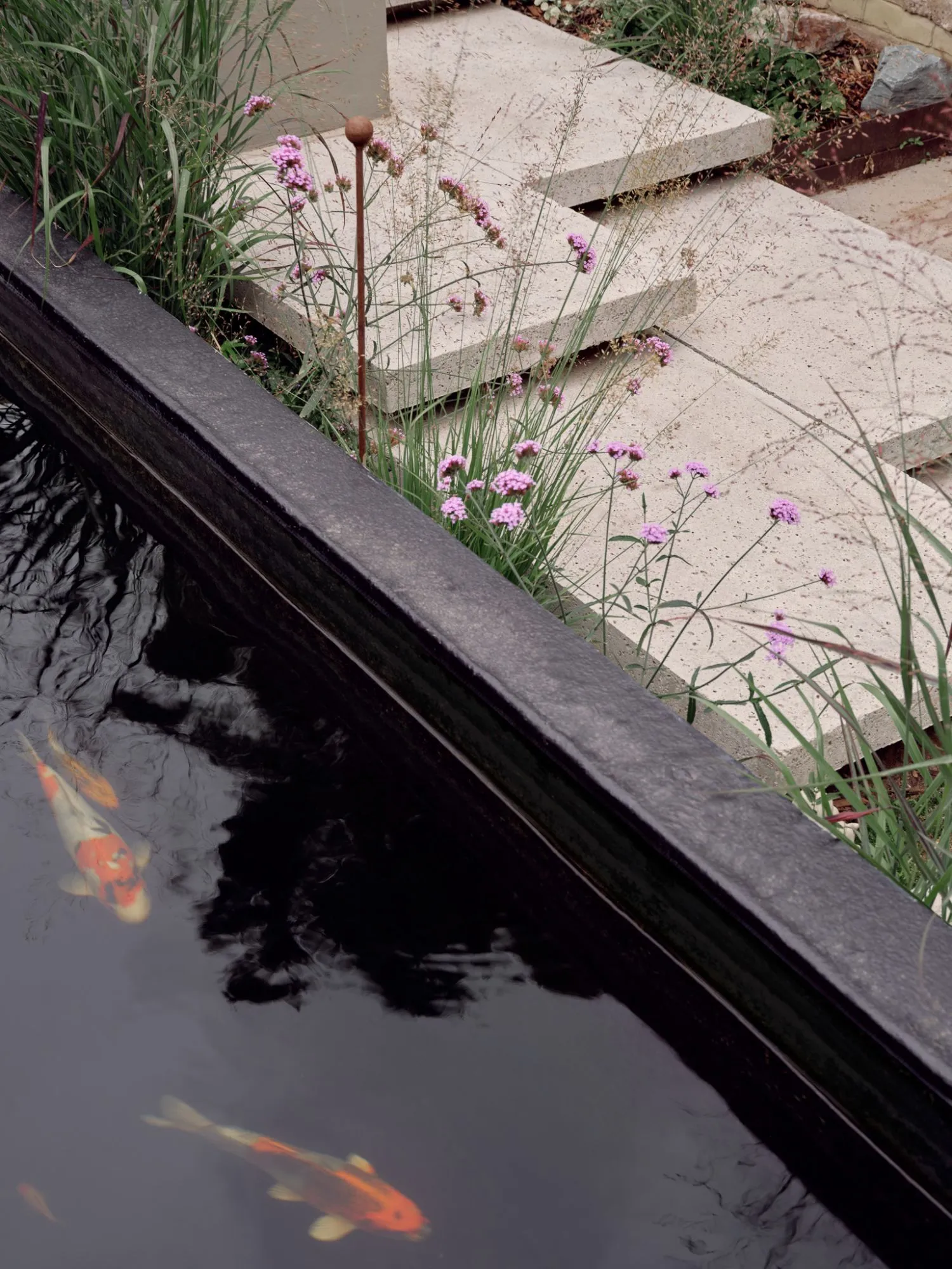 Koi Pond Edge with Planting and Stone Paving